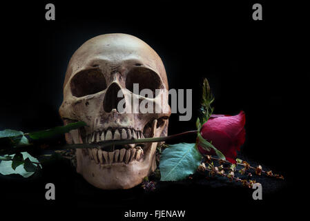 Still life with human skull with red rose,and telephone on black floor Stock Photo