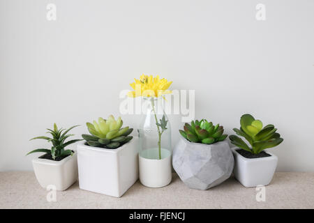 Variety of Succulent in pots and yellow flower in glass bottle, home decoration Stock Photo