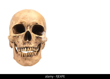 Human skull on isolated white background Stock Photo
