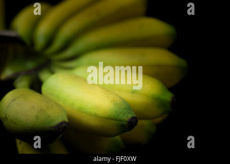 a kind of Thai banana isolated on black Stock Photo