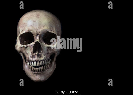 Front skull isolated on black Stock Photo