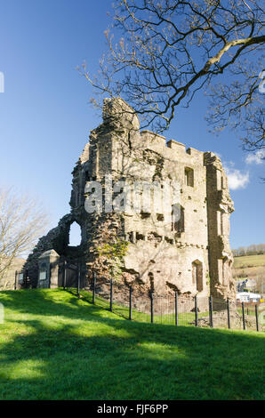Crickhowell Castle, also known as Alisby's Castle in Crickhowell, Powys Stock Photo