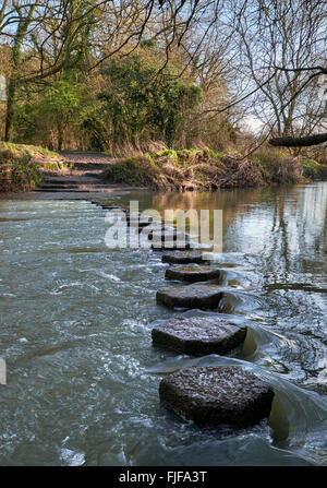 The Stepping Stones across the River Mole at the foot of Box Hill. Westhumble, near Dorking, Surrey, England. Stock Photo