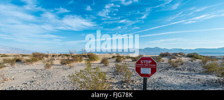 Sign lettering 'STOP Extreme Heat Danger' warning of heat, Creosote Bushes (larrea tridentata) in the Mesquite Flat Sand Dunes Stock Photo