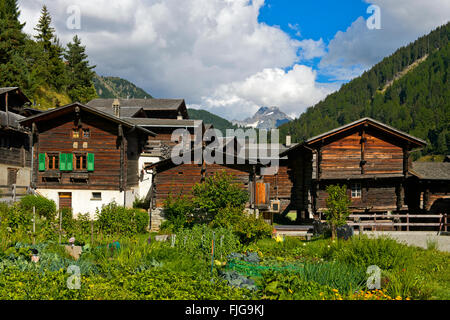 Chalets in Valais, Ofenhorn mountain summit behind, Binn valley, Binn, Canton of Valais, Switzerland Stock Photo