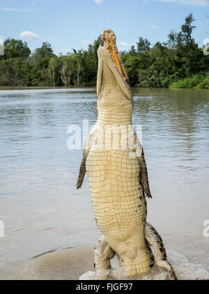 Crocodile jumping high in Adelaide River in Kakadu National Park, Northern Territory, NT, Australia Stock Photo