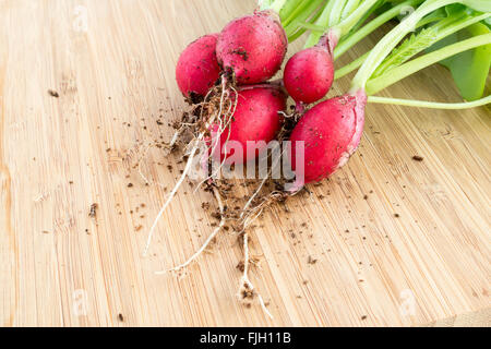 Fresh bunch of radishes, Raphanus sativus, on wooden plate ready to eat or add in healthy salads Stock Photo