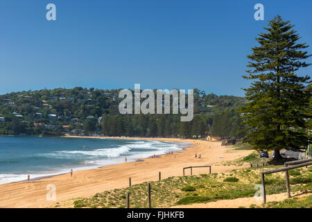 Palm Beach Sydney Stock Photo