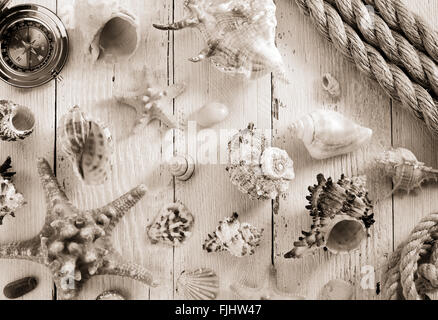 seashell on wooden background texture Stock Photo