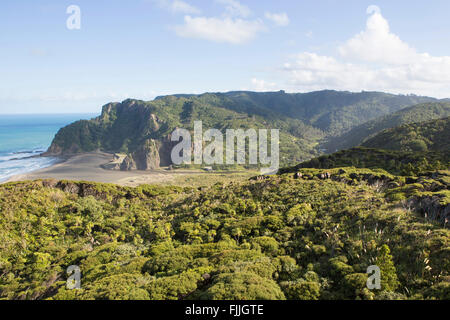 NZ Auckland walk in Waitakere ranges hills over karekare beach near piha beaches. Stock Photo