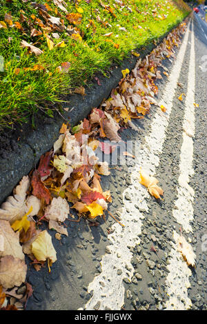 Double yellow lines covered with autumn leaves Stock Photo - Alamy