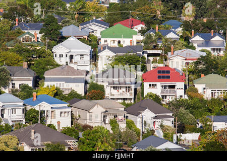 NZ AUCKLAND homes in suburb on sunny day, beautiful morning. New Zealand Stock Photo