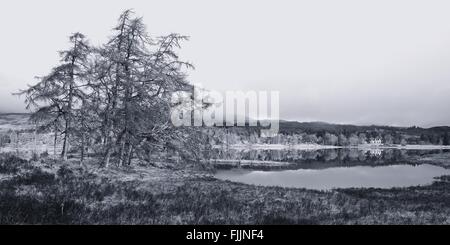 A B&W rendition of the view at Loch Tulla taken near Inveroran with views to Forrest lodge and low clouds over rannoch moor Stock Photo