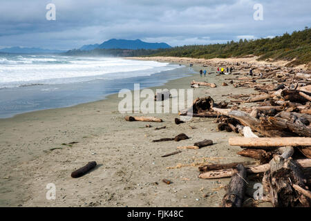 Wickaninnish Beach - Pacific Rim National Park, Tofino, Vancouver Island, British Columbia, Canada Stock Photo