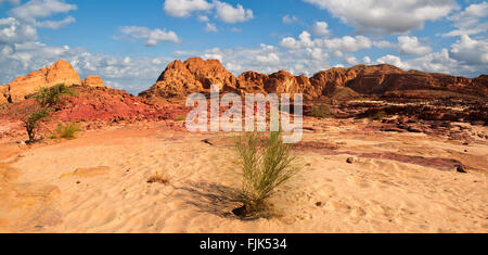 Egypt Sinai desert view  Rocky hills Blue sky Stock Photo