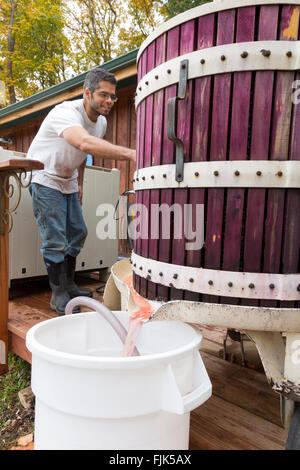 Vintner using a traditional wooden wine press to make red wine at a winery in Washington State, USA Stock Photo