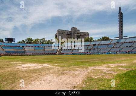 Trampled grass of the football field at the Centenario Football Stadium, Montevideo Stock Photo