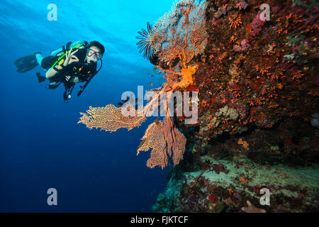 Scuba diver explore a coral reef showing ok sign Stock Photo