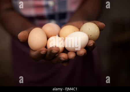 A farmer holding a handful of eggs, Tanzania Stock Photo