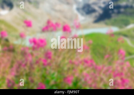 Aplen lake in summer view with wild pink flowers on the foreground. Defocused blur shot Stock Photo