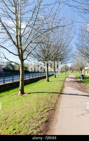 The Promenade alongside the River Usk in Brecon, Powys Stock Photo