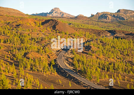 geography / travel, Spain, Tenerife, landscapes, view from Mirador de Chio at road through the Teide National Park, Additional-Rights-Clearance-Info-Not-Available Stock Photo