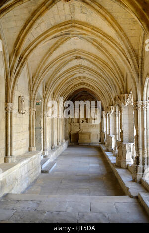 Romanesque Cloisters Church of Saint Trophime Church Arles Provence France Stock Photo