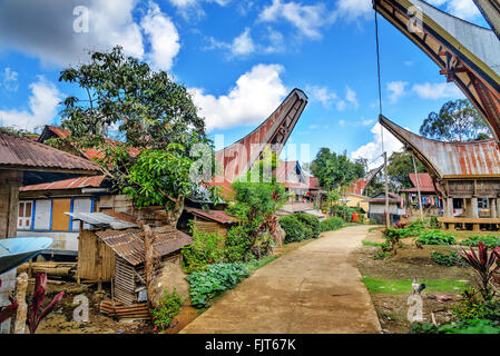 On the road in Tongkonan traditional Lempo village. Tana Toraja, Sulawesi. Indonesia Stock Photo