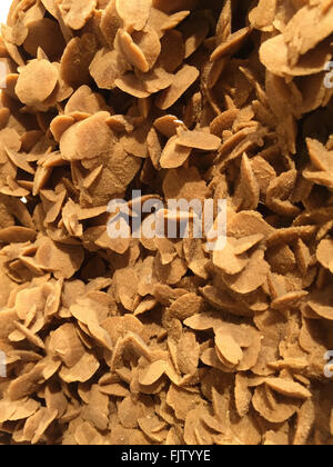 Gypsum Stock Photo