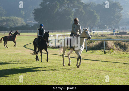 Horse training on Sri Lanka's only racetrack at Nuwara Eliya Stock Photo