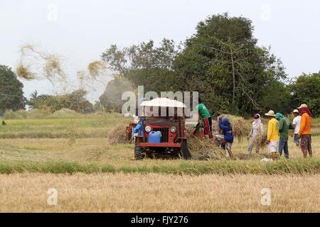 Bulacan Province, Philippines. 3rd Mar, 2016. A farmer harvests rice at ...