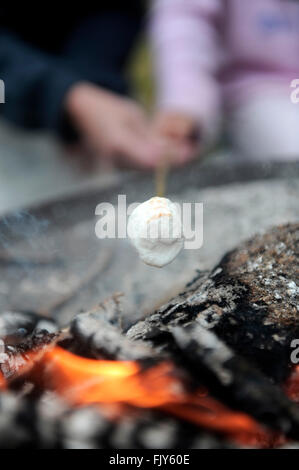 Roasting marshmallows on an open fire, uk campng Stock Photo