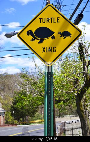 Turtle crossing sign Stock Photo - Alamy