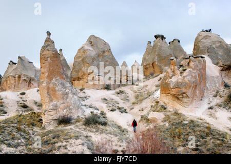 Eroded volcanic tuff rock pillars in Devrent Valley aka Imagination or Pink Valley. Goreme National Park, Cappadocia, Turkey Stock Photo