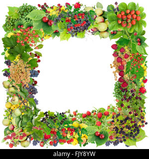 Square photo frame made from summer garden berries and fruits on branches. Abstract handmade isolated  collage Stock Photo