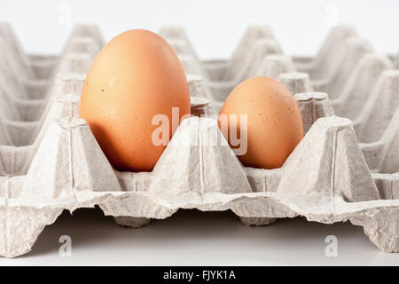 Eggs in carton, big and small Stock Photo