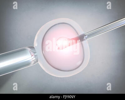 Vitro fertilization Stock Photo