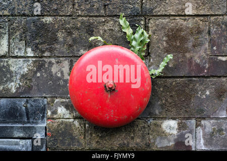 Old fashioned red alarm bell. A metal fire alarm with ferns growing behind it, mounted on a dark brick wall Stock Photo