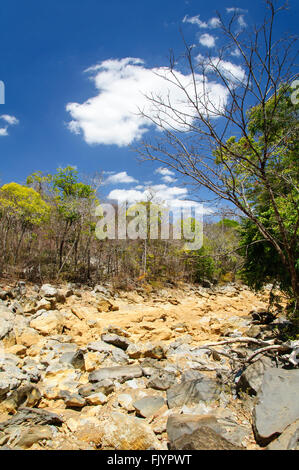 Dry river bed in Ankarana National Park in Madagascar Stock Photo
