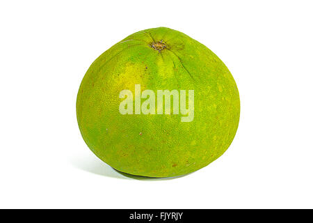 green grapefruit on white background isolated Stock Photo