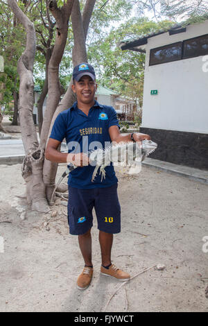 Hotel security guard at the Military Club San Fernando in Santa Marta holding a captured iguana. Stock Photo