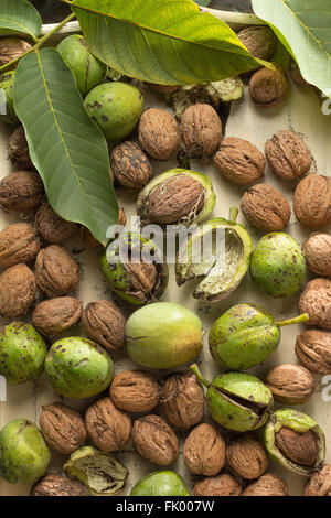 Walnuts on wooden table, in green husks Stock Photo