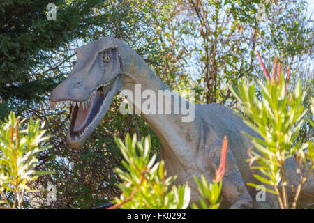 Velociraptor dinosaur carnivore fast Stock Photo