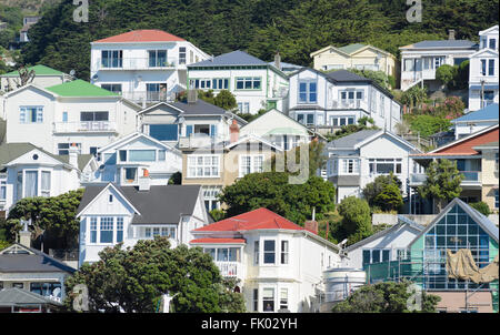 houses wellington new zealand in the hills new zealand Stock Photo ...