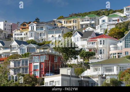 houses wellington new zealand in the hills new zealand Stock Photo - Alamy