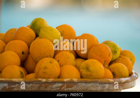 Griechenland, Kreta, Agios Nikolaos, Strandbar bei Plaka, Schale mit Orangen Stock Photo