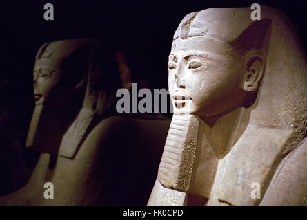 Italy, Piedmont, Turin, Egyptian Museum, Sphinx Room Stock Photo