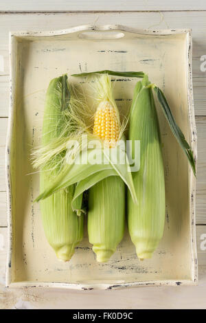 Fresh corn cobs on wooden tray Stock Photo