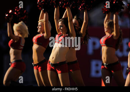 Tampa, Fla, USA. 13th Nov, 2011. Tampa Bay Buccaneers cheerleaders during the Bucs game against the Houston Texans at Raymond James Stadium on Nov. 13, 2011 in Tampa, Fla. ZUMA Press/Scott A. Miller © Scott A. Miller/ZUMA Wire/Alamy Live News Stock Photo