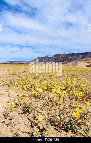 Cloudy Sky Natural Background Super Wide Angle Panorama Banner